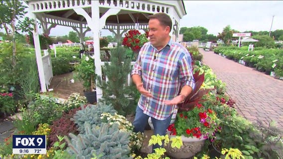 Garden Guy Dale K shares tips on deer-resistant plants