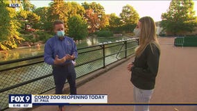 Como Zoo & Como Town Amusement Park Reopen