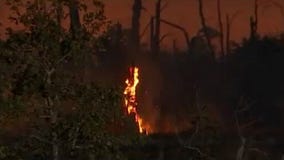 Brush fire in Bastrop