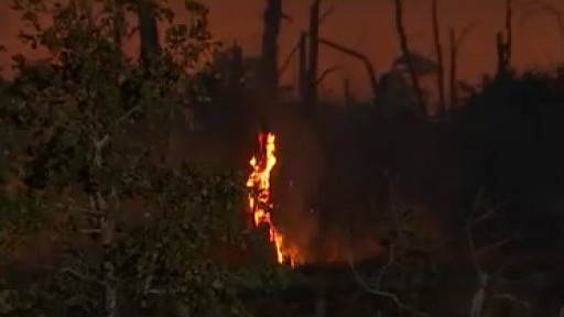 Brush fire in Bastrop