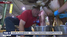 Fair Flashback: Dale's milking competition