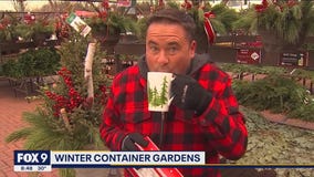 How to spruce up your winter container gardens with Garden Guy Dale K
