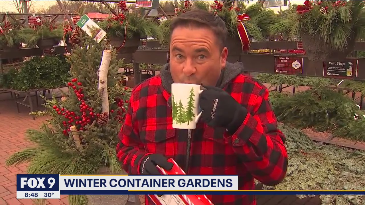 How to spruce up your winter container gardens with Garden Guy Dale K