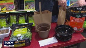 Indoor gardening ideas for the winter months