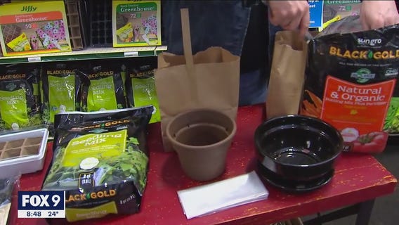 Indoor gardening ideas for the winter months