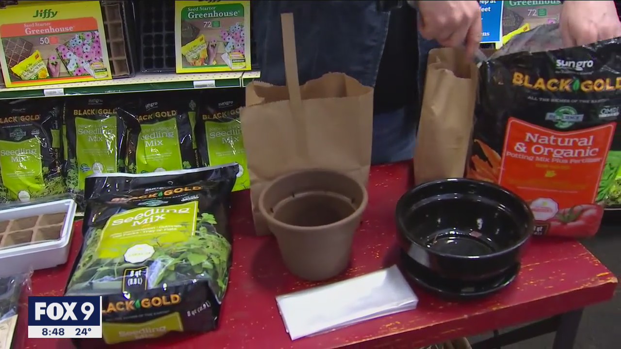 Indoor gardening ideas for the winter months