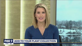 Garden Guy Dale K gives tips on adding to your plant collection