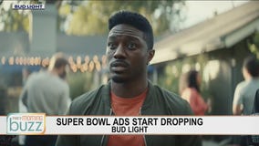 Super Bowl Ad Trends: the new brands to expect during the commercial breaks