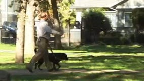 Uber driver denies ride to man with service dog