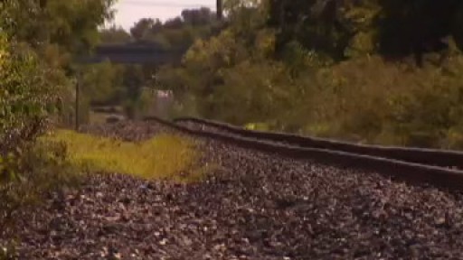 Rock throwers troubling neighborhood
