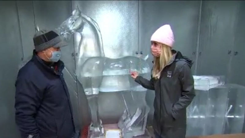 Popular artwork from MIA re-created in ice