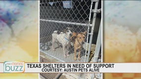 Ruff Start Rescue working to save animals in Texas after deep freeze