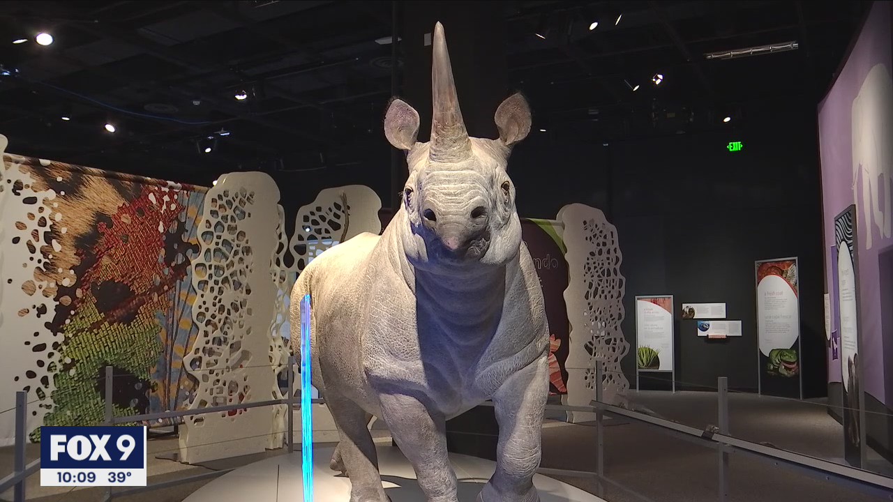 Science Museum of Minnesota reopens doors after pandemic pause