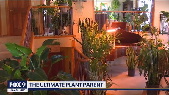 Tips on how to be the ultimate plant parent