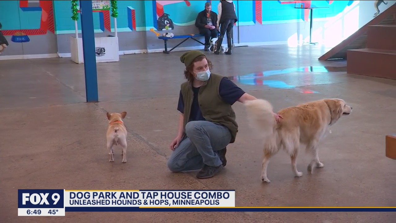 Minnesota?s first tap house, dog park combo celebrates one year