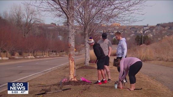 Crash kills East Ridge student overnight in Woodbury