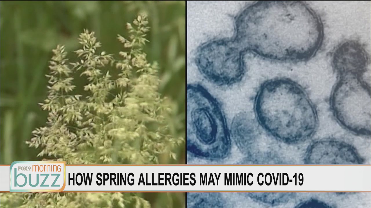 How to tell the different between spring allergies & COVID-19 symptoms