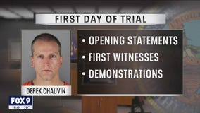 Chauvin trial: First witnesses take the stand