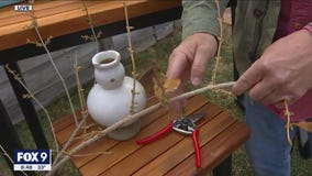 Weekend Garden Checklist with Dale K