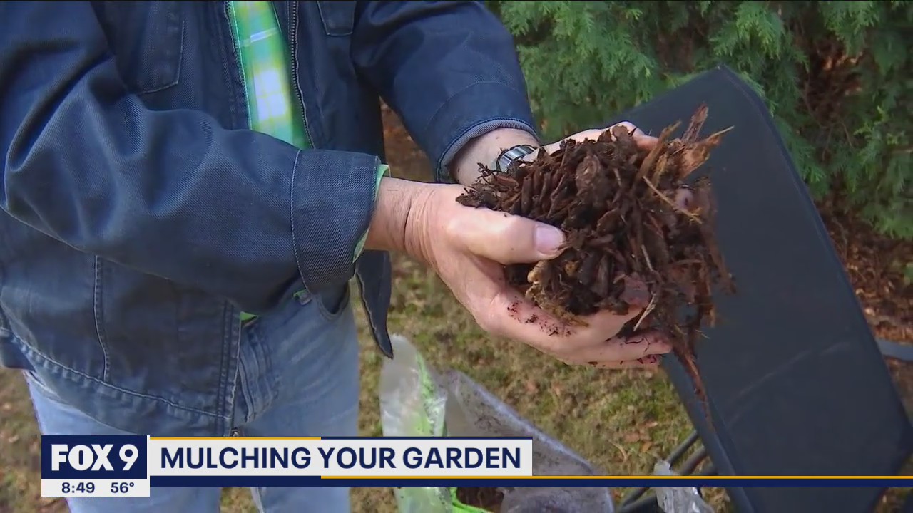 The best way to mulch your garden with Garden Guy Dale K