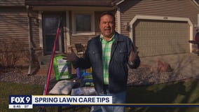 Garden Guy Dale K's tips to a lush & green lawn