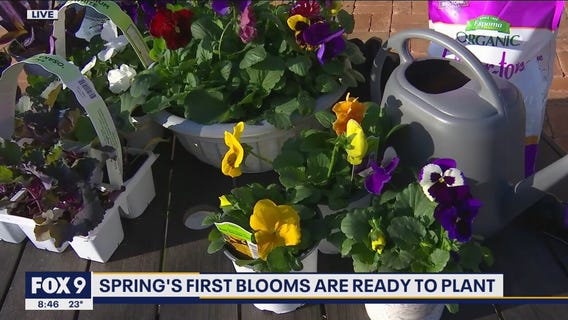 Planning your first container gardens with Garden Guy Dale K