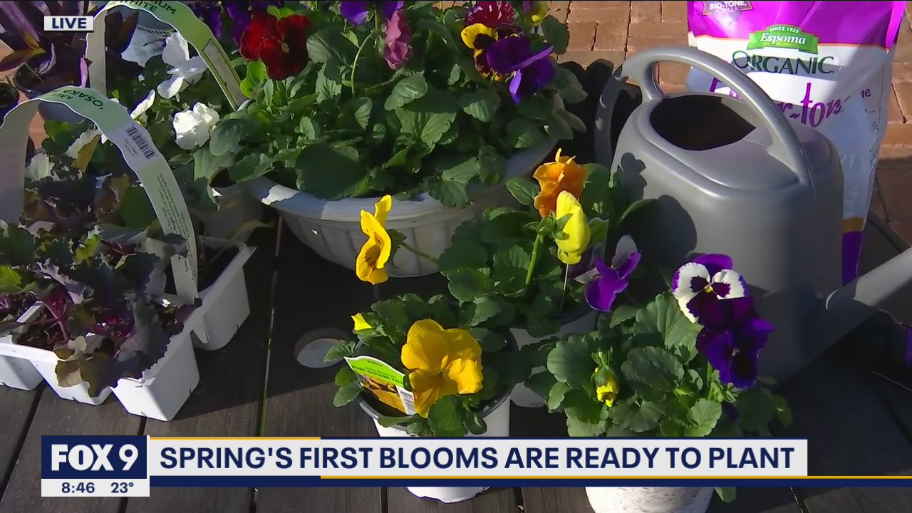 Planning your first container gardens with Garden Guy Dale K