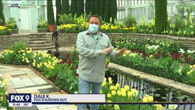 Searching for spring at Como Park Zoo & Conservatory