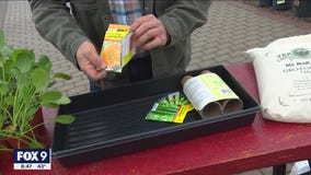 This Week's Garden to- do list with Dale K