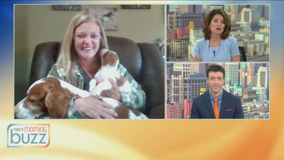 Dog show returning to Saint Paul RiverCentre this weekend