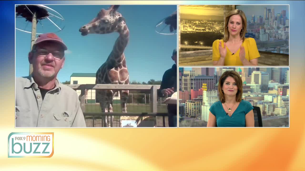 Safari North opens for the season with new exhibits featuring lions, zebra, & monkeys