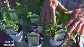 Herb Gardening Secrets with Garden Guy Dale K