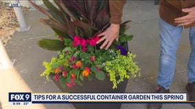 Planting a successful container garden with Dale K
