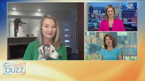 Bow Wow Film Festival returns to the Parkway