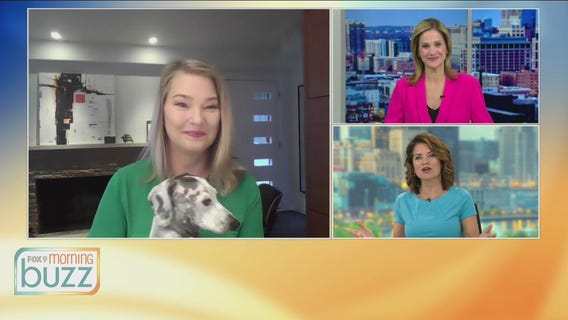 Bow Wow Film Festival returns to the Parkway