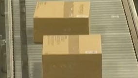 FOX Business Report - 1/19