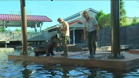 Como Zoo unveils Como Harbor