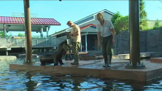 Como Zoo unveils Como Harbor