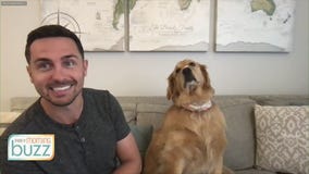 TikTok stars spreading awareness for St. Jude Children's Research Hospital