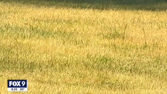 Saving your lawn during a drought