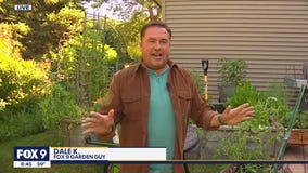 Keeping your garden looking great this June