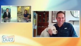 Creating a safe and calming space for pets during fireworks season