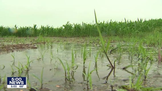 Wednesday's rain a welcome sight for Minnesota farmers