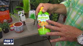 Caring for your house plants