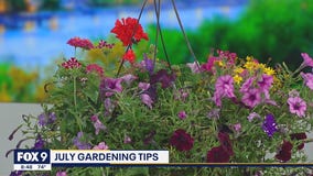 July gardening tips