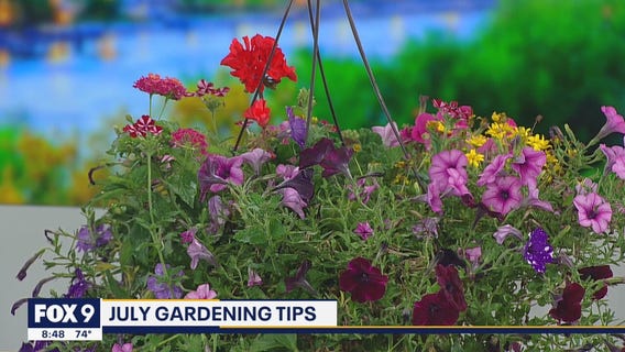 July gardening tips