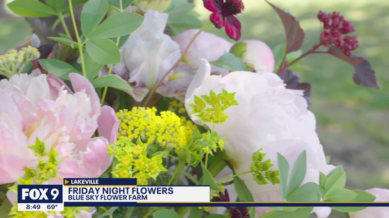 Behind the scenes at a Minnesota Flower Farm