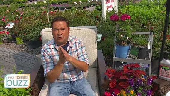 Ask the Gardener! Dale K answers some of your top summer gardening questions