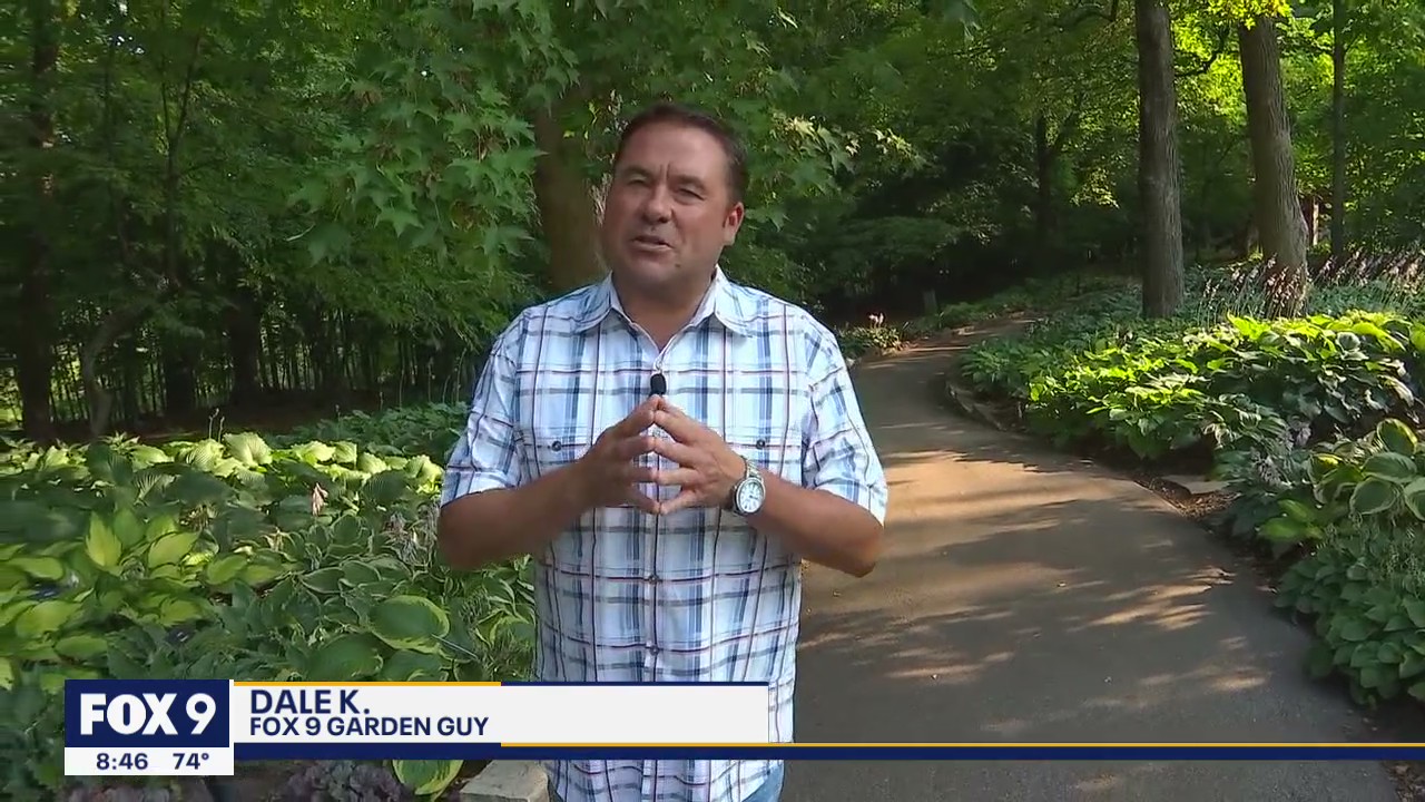 Escaping the heat at the Minnesota Landscape Arboretum