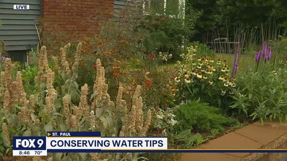 Keeping your garden looking great in a drought